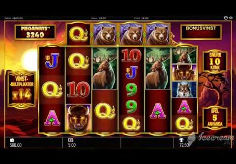 Buffalo Rising Slot – Mega Win – Storvinst – Big Win Demo*