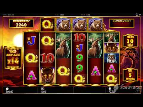 Buffalo Rising Slot – Mega Win – Storvinst – Big Win Demo*