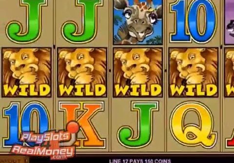 MEGA MOOLAH SLOT *MEGA BIG WIN*