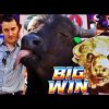 😍 BUFFALO LOVES ME! 😂  BUFFALO GOLD slot machine SUPER BIG WINS!