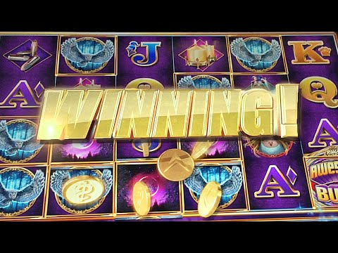 WINNING at the Casinos! Slot Machine Bonuses and Big Wins