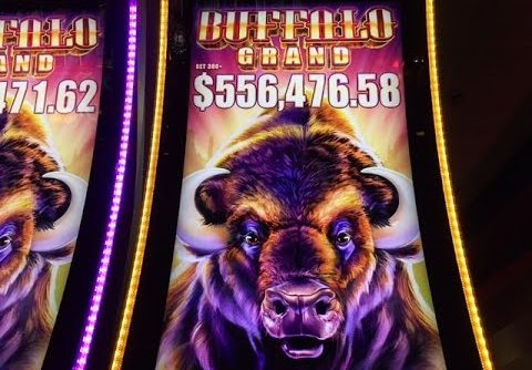 Buffalo Grand Slot Super Jackpot Handpay -Biggest Buffalo Win on YouTube –