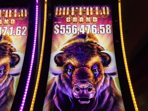 Buffalo Grand Slot Super Jackpot Handpay -Biggest Buffalo Win on YouTube –