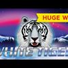 HUGE WIN! White Tiger Slot – INCREDIBLE SETUP!