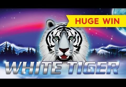 HUGE WIN! White Tiger Slot – INCREDIBLE SETUP!