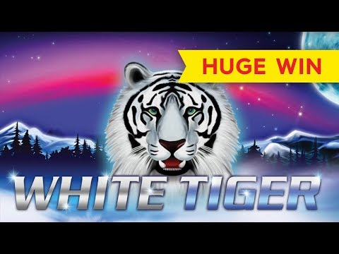 HUGE WIN! White Tiger Slot – INCREDIBLE SETUP!