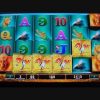 Raging Rhino SUPER MEGA HUGE BIG BIG WIN!!! Buffalo Inspired Slot Machine Bonus Round Free Games 3/3