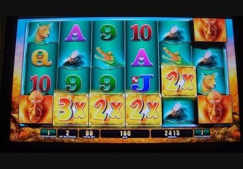 Raging Rhino SUPER MEGA HUGE BIG BIG WIN!!! Buffalo Inspired Slot Machine Bonus Round Free Games 3/3