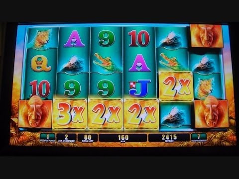 Raging Rhino SUPER MEGA HUGE BIG BIG WIN!!! Buffalo Inspired Slot Machine Bonus Round Free Games 3/3