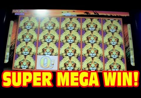 50 Lions DELUXE – SUPER MEGA BIG WIN – New Slot Machine 3 Bonus Showcase