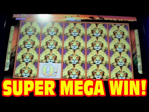 50 Lions DELUXE – SUPER MEGA BIG WIN – New Slot Machine 3 Bonus Showcase