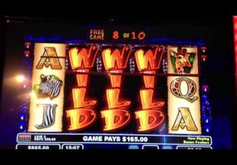 The Wildlife video slot machine big win !