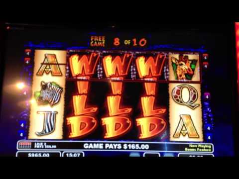 The Wildlife video slot machine big win !