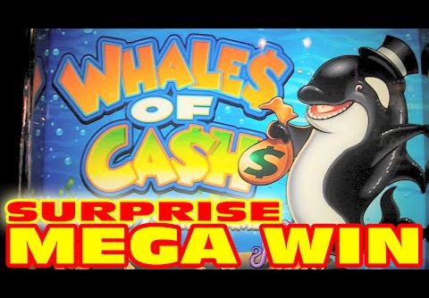 Whales of Cash – SURPRISE MEGA BIG WIN – Slot Machine Bonus