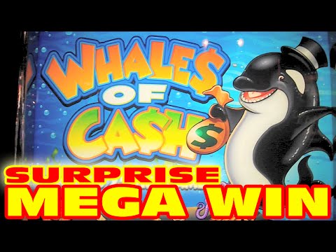 Whales of Cash – SURPRISE MEGA BIG WIN – Slot Machine Bonus