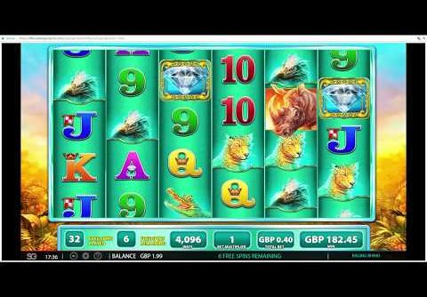 £10 vs raging rhino –big win– -slots-