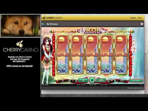 Koi Princess Wild Reels MEGA WIN! (stream highlight)
