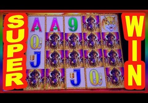 ** SUPER BIG WIN  ** BACK TO BACK GREAT HITS ON BUFFALO GOLD ** SLOT LOVER **