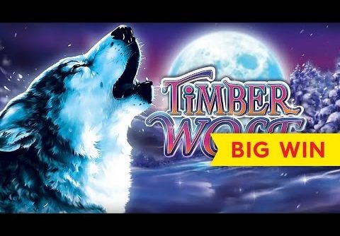 Timber Wolf Deluxe Slot – BIG WIN BONUS!