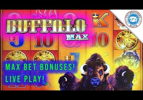 Super Fun Buffalo Max Slot Live Play Session! Big win to start! D-Gen Max Bet Bonuses!