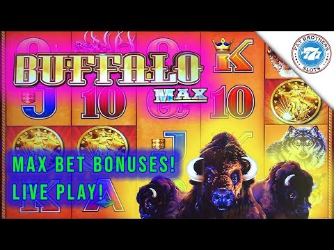 Super Fun Buffalo Max Slot Live Play Session! Big win to start! D-Gen Max Bet Bonuses!