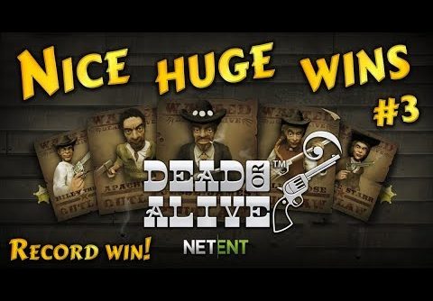 Nice huge wins on Dead or Alive slot #3, record win! Netent