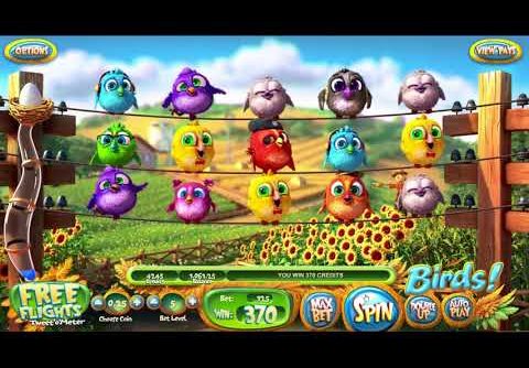 Malaysia Online Casino Super Big Win Birds slot 2019 | www.regal88.net