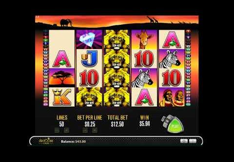 50 Lions Slot Machine BIG WIN Bonus