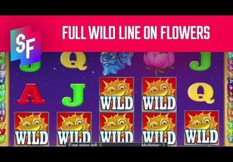 Flowers Slot Big Win – 930X On A Single Hit!!!