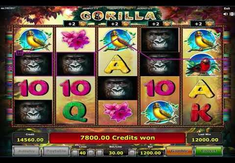 Mega Win On The Free Spin Slot Machine Gorilla By Novomatic