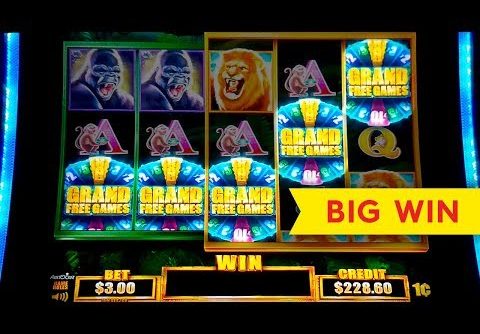 Tarzan Grand Slot – 5 SYMBOL TRIGGER – BIG WIN BONUS!