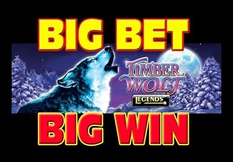 Timber Wolf Legends BIG BET + MEGA WIN Las Vegas Slot Machine Winner