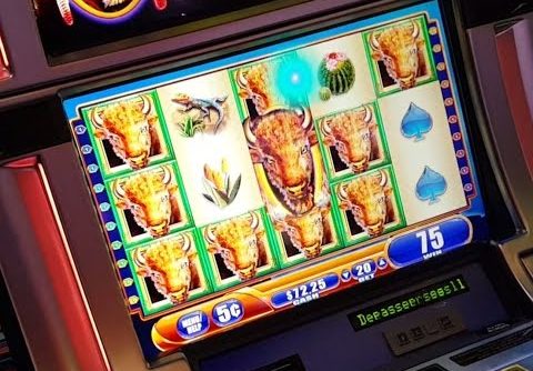 $$ MEGA BIG WIN $$ – Buffalo Spirit – rare wild Big Win slot machine bonus – 5c denom