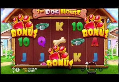 Mega Win | The Dog House Slot | Big Win | Sensational Win