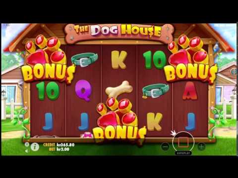 Mega Win | The Dog House Slot | Big Win | Sensational Win