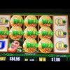 Wild Leprechauns slot machine pokie free spins bonus BIG WIN!