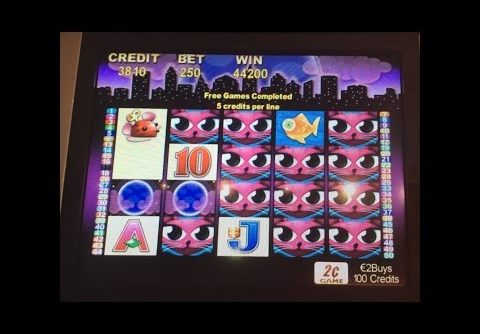 MISS KITTY Slot Machine – Max Bet Bonus – Mega Big Win – ARISTOCRAT POKIES Spielothek