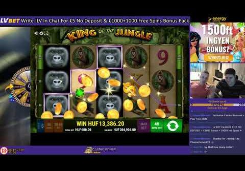 King Of The Jungle 🎰 Gamomat Casino Slots 💲💲 MEGA BIG WIN 💲💲