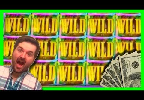 BIGGEST WIN ON YOUTUBE 🌈 on Rainbow Warriors Slot Machine 🌈 LIVE PLAY and Bonuses!