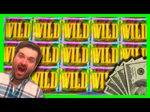 BIGGEST WIN ON YOUTUBE 🌈 on Rainbow Warriors Slot Machine 🌈 LIVE PLAY and Bonuses!