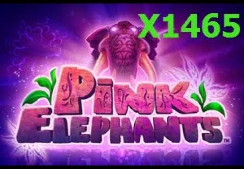 Pink Elephants “RECORD” JUMBO BIG WIN X1465 on 50RUB BET (NEW SLOT!).