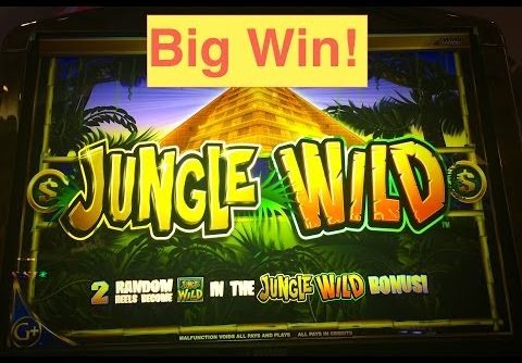 Jungle Wild Slot Machine Bonus Big Win!