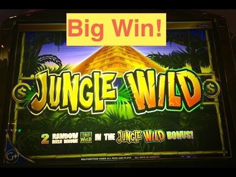 Jungle Wild Slot Machine Bonus Big Win!