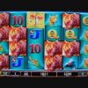 Raging Rhino Week MEGA BIG WIN Slot Machine Bonus Round Free Games Video 2/3