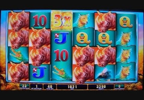 Raging Rhino Week MEGA BIG WIN Slot Machine Bonus Round Free Games Video 2/3