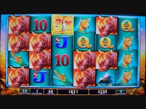 Raging Rhino Week MEGA BIG WIN Slot Machine Bonus Round Free Games Video 2/3