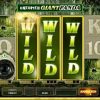 Untamed Giant Panda Slot – 2x Super Mega Win