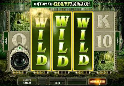 Untamed Giant Panda Slot – 2x Super Mega Win