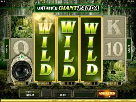 Untamed Giant Panda Slot – 2x Super Mega Win