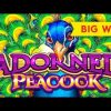 Adorned Peacock Slot – BIG WIN SESSION, NICE!